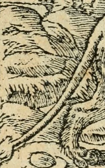 An illustration from Diverse imprese accommodate a diuerse moralità : con versi che i loro significati dichiarano : tratte da gli emblemi dell'Alciato, 1549, leaf 17
