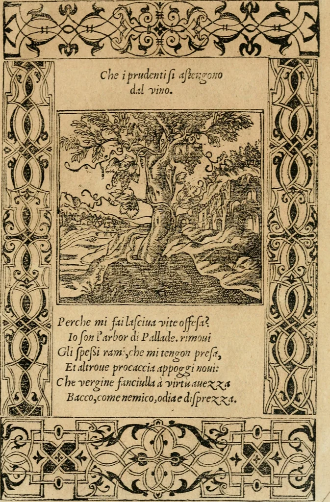 An illustration from Diverse imprese accommodate a diuerse moralità : con versi che i loro significati dichiarano : tratte da gli emblemi dell'Alciato, 1549, leaf 28