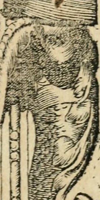 An illustration from Diverse imprese accommodate a diuerse moralità : con versi che i loro significati dichiarano : tratte da gli emblemi dell'Alciato, 1549, leaf 38