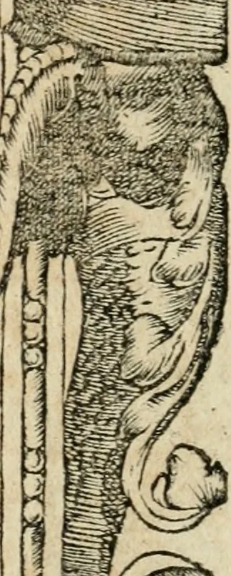 An illustration from Diverse imprese accommodate a diuerse moralità : con versi che i loro significati dichiarano : tratte da gli emblemi dell'Alciato, 1549, leaf 39