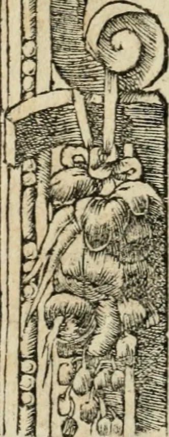 An illustration from Diverse imprese accommodate a diuerse moralità : con versi che i loro significati dichiarano : tratte da gli emblemi dell'Alciato, 1549, leaf 39