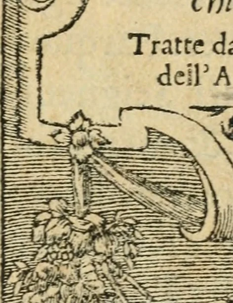 An illustration from Diverse imprese accommodate a diuerse moralità : con versi che i loro significati dichiarano : tratte da gli emblemi dell'Alciato, 1549, leaf 4
