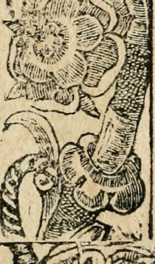 An illustration from Diverse imprese accommodate a diuerse moralità : con versi che i loro significati dichiarano : tratte da gli emblemi dell'Alciato, 1549, leaf 41