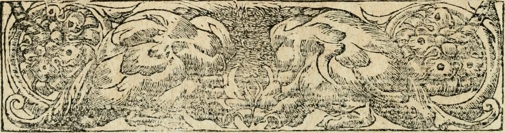 An illustration from Diverse imprese accommodate a diuerse moralità : con versi che i loro significati dichiarano : tratte da gli emblemi dell'Alciato, 1549, leaf 41