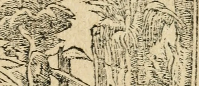 An illustration from Diverse imprese accommodate a diuerse moralità : con versi che i loro significati dichiarano : tratte da gli emblemi dell'Alciato, 1549, leaf 52