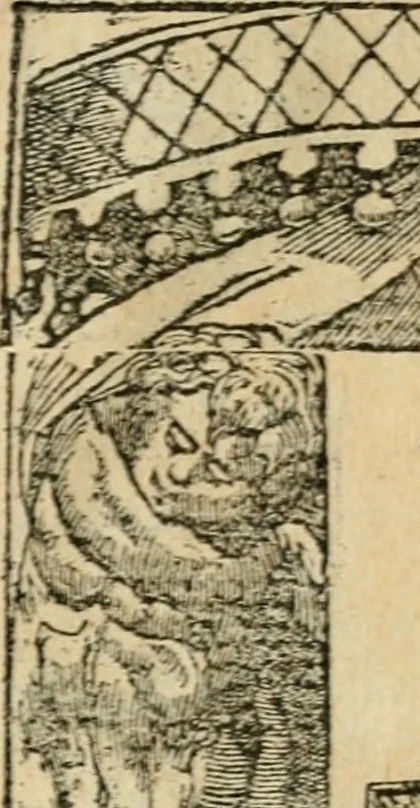 An illustration from Diverse imprese accommodate a diuerse moralità : con versi che i loro significati dichiarano : tratte da gli emblemi dell'Alciato, 1549, leaf 6