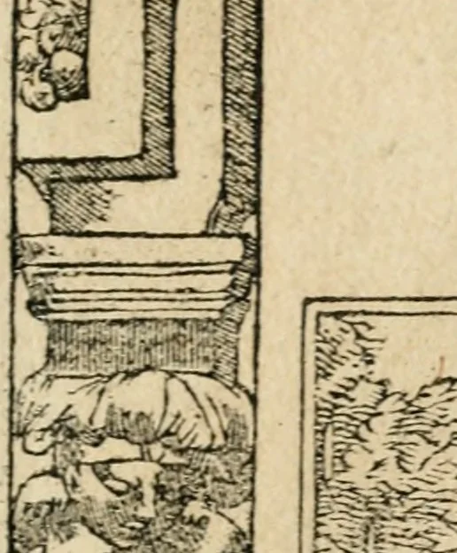 An illustration from Diverse imprese accommodate a diuerse moralità : con versi che i loro significati dichiarano : tratte da gli emblemi dell'Alciato, 1549, leaf 62