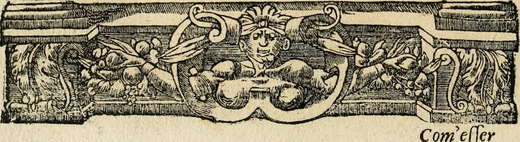 An illustration from Diverse imprese accommodate a diuerse moralità : con versi che i loro significati dichiarano : tratte da gli emblemi dell'Alciato, 1549, leaf 81