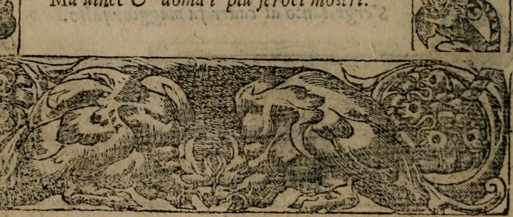 An illustration from Diverse imprese accomodate a diverse moralità, co versi che i loro significati dichiarano insieme con molte altre mella lingua italiana non piu tradotte, 1576, leaf 105
