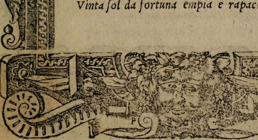 An illustration from Diverse imprese accomodate a diverse moralità, co versi che i loro significati dichiarano insieme con molte altre mella lingua italiana non piu tradotte, 1576, leaf 120