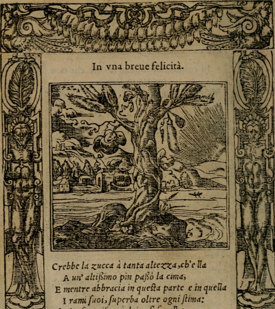 An illustration from Diverse imprese accomodate a diverse moralità, co versi che i loro significati dichiarano insieme con molte altre mella lingua italiana non piu tradotte, 1576, leaf 125
