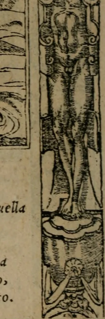 An illustration from Diverse imprese accomodate a diverse moralità, co versi che i loro significati dichiarano insieme con molte altre mella lingua italiana non piu tradotte, 1576, leaf 125