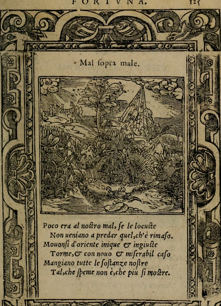 An illustration from Diverse imprese accomodate a diverse moralità, co versi che i loro significati dichiarano insieme con molte altre mella lingua italiana non piu tradotte, 1576, leaf 128