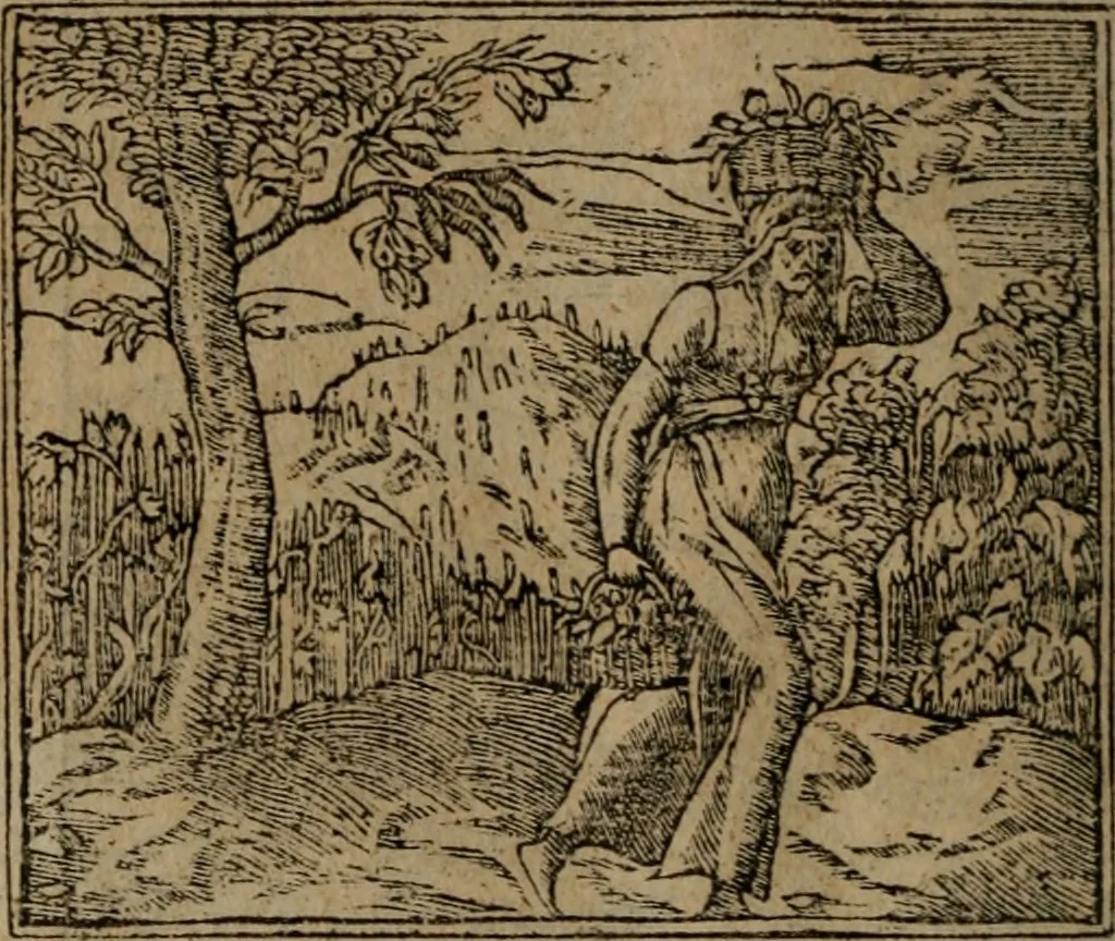 An illustration from Diverse imprese accomodate a diverse moralità, co versi che i loro significati dichiarano insieme con molte altre mella lingua italiana non piu tradotte, 1576, leaf 141