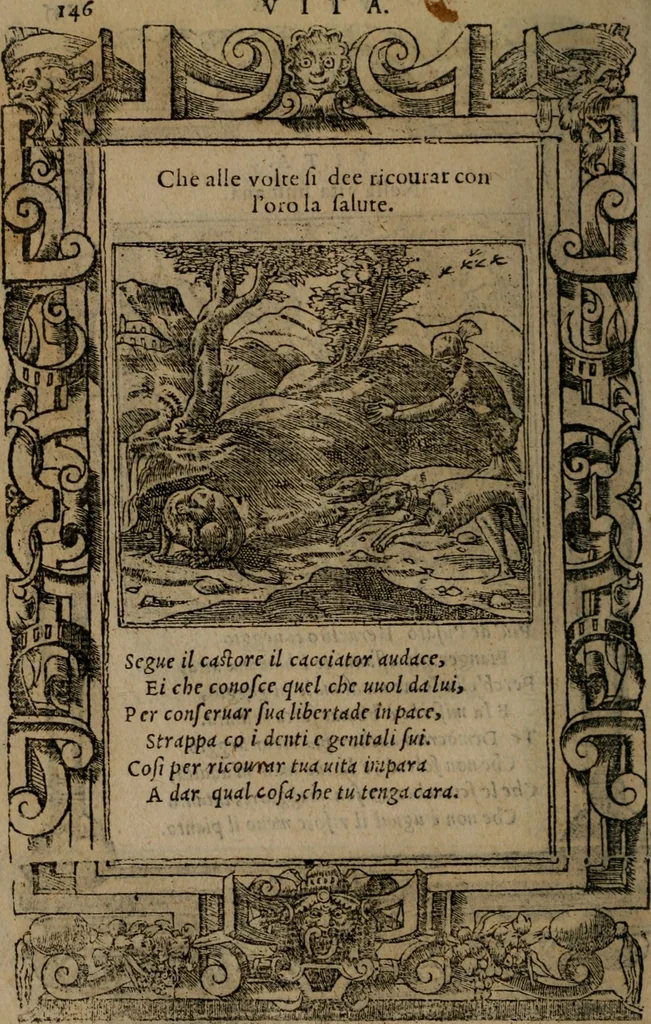 An illustration from Diverse imprese accomodate a diverse moralità, co versi che i loro significati dichiarano insieme con molte altre mella lingua italiana non piu tradotte, 1576, leaf 149