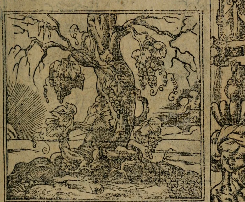 An illustration from Diverse imprese accomodate a diverse moralità, co versi che i loro significati dichiarano insieme con molte altre mella lingua italiana non piu tradotte, 1576, leaf 154