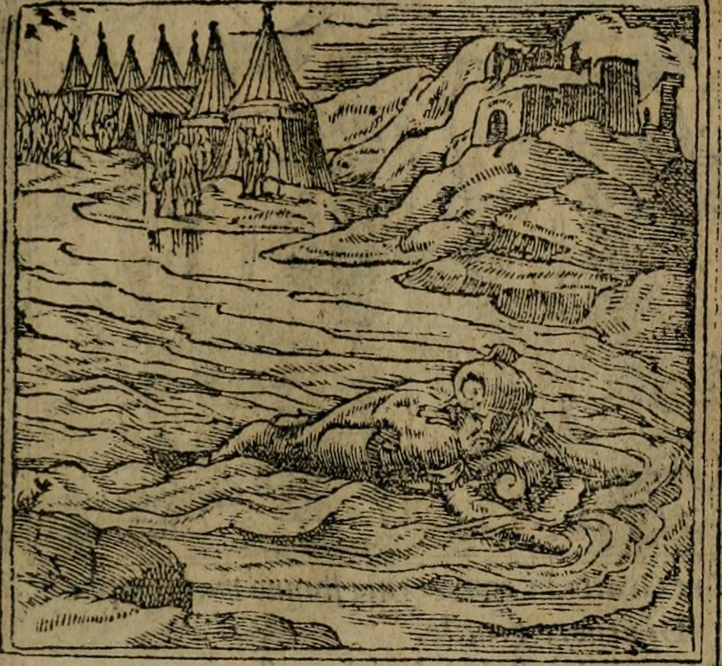 An illustration from Diverse imprese accomodate a diverse moralità, co versi che i loro significati dichiarano insieme con molte altre mella lingua italiana non piu tradotte, 1576, leaf 156