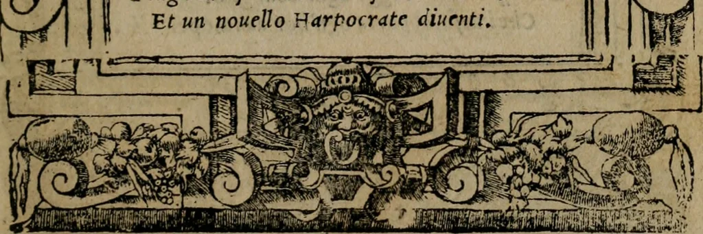An illustration from Diverse imprese accomodate a diverse moralità, co versi che i loro significati dichiarano insieme con molte altre mella lingua italiana non piu tradotte, 1576, leaf 16