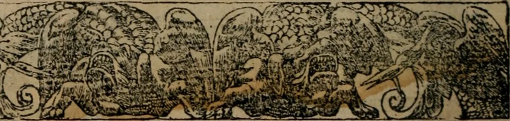 An illustration from Diverse imprese accomodate a diverse moralità, co versi che i loro significati dichiarano insieme con molte altre mella lingua italiana non piu tradotte, 1576, leaf 169