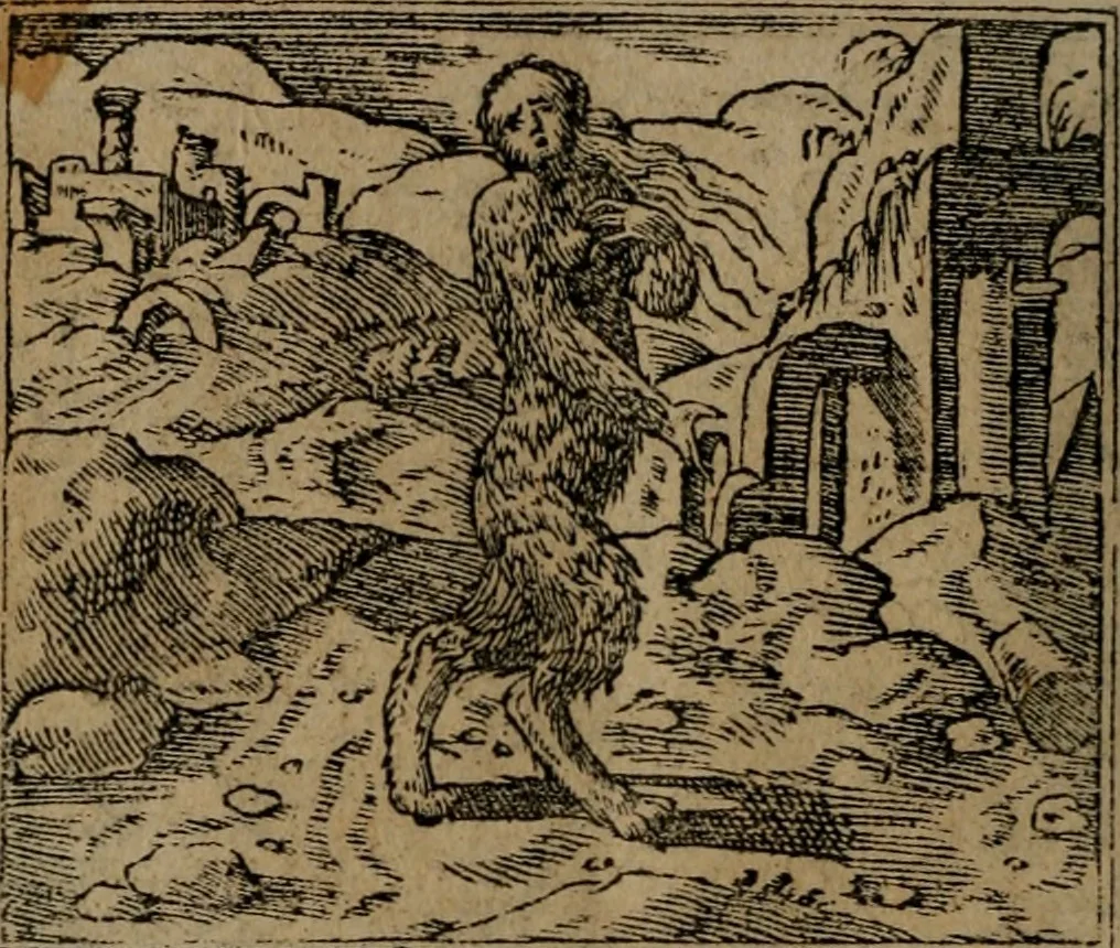 An illustration from Diverse imprese accomodate a diverse moralità, co versi che i loro significati dichiarano insieme con molte altre mella lingua italiana non piu tradotte, 1576, leaf 175