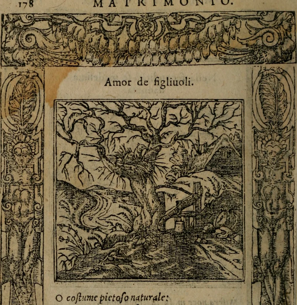 An illustration from Diverse imprese accomodate a diverse moralità, co versi che i loro significati dichiarano insieme con molte altre mella lingua italiana non piu tradotte, 1576, leaf 181