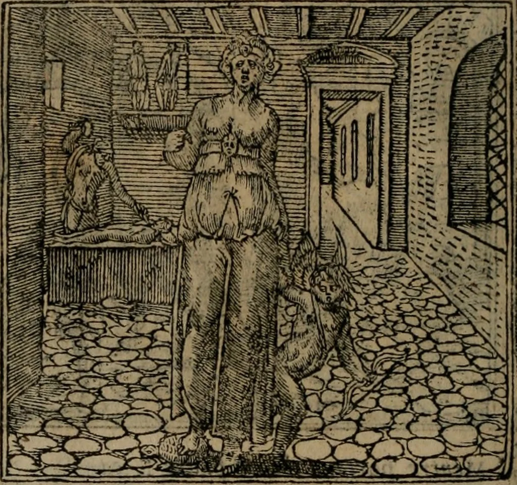 An illustration from Diverse imprese accomodate a diverse moralità, co versi che i loro significati dichiarano insieme con molte altre mella lingua italiana non piu tradotte, 1576, leaf 183