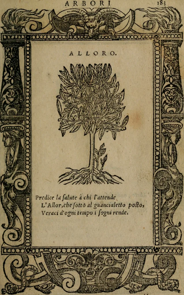 An illustration from Diverse imprese accomodate a diverse moralità, co versi che i loro significati dichiarano insieme con molte altre mella lingua italiana non piu tradotte, 1576, leaf 186