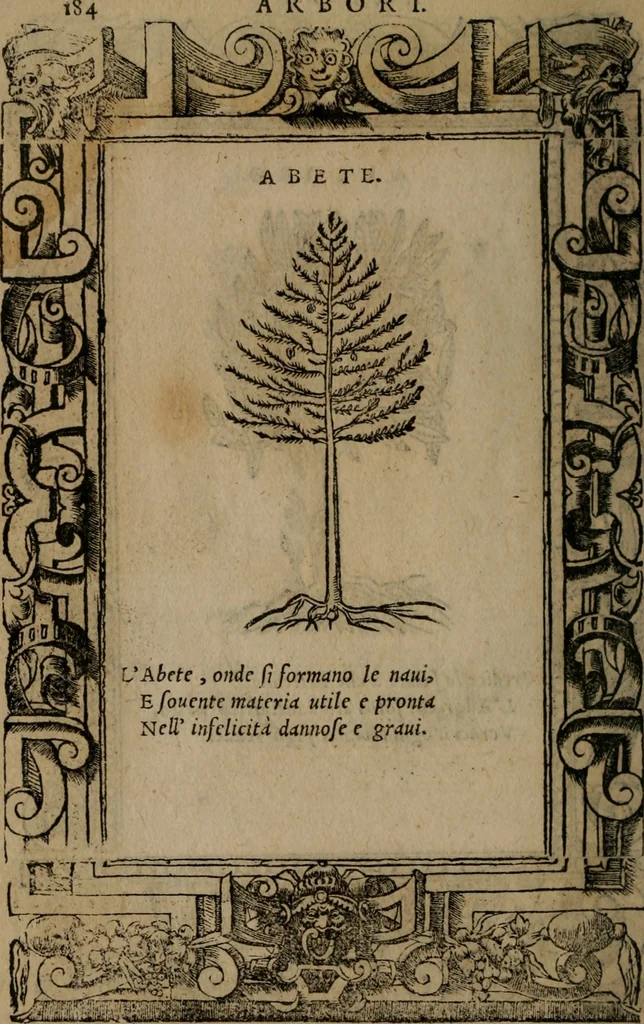 An illustration from Diverse imprese accomodate a diverse moralità, co versi che i loro significati dichiarano insieme con molte altre mella lingua italiana non piu tradotte, 1576, leaf 187