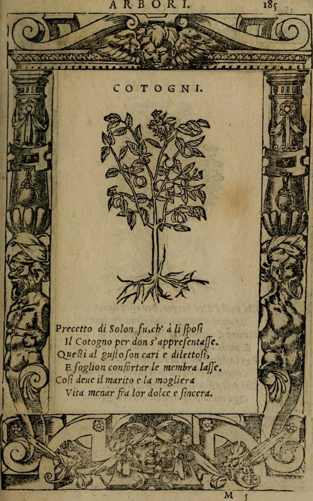 An illustration from Diverse imprese accomodate a diverse moralità, co versi che i loro significati dichiarano insieme con molte altre mella lingua italiana non piu tradotte, 1576, leaf 188