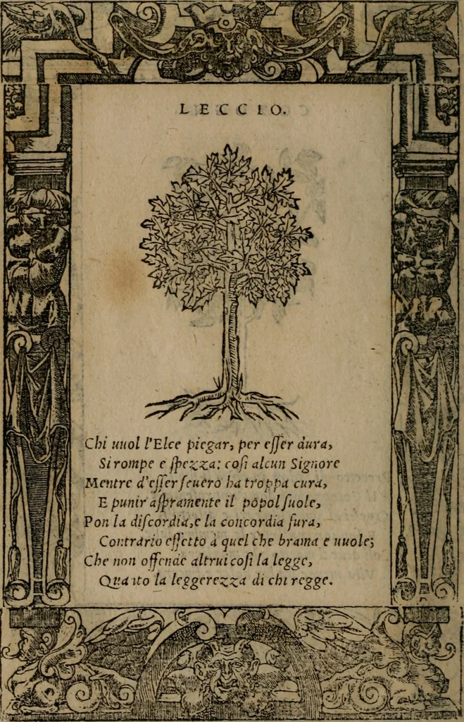An illustration from Diverse imprese accomodate a diverse moralità, co versi che i loro significati dichiarano insieme con molte altre mella lingua italiana non piu tradotte, 1576, leaf 189