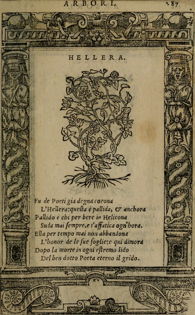 An illustration from Diverse imprese accomodate a diverse moralità, co versi che i loro significati dichiarano insieme con molte altre mella lingua italiana non piu tradotte, 1576, leaf 190