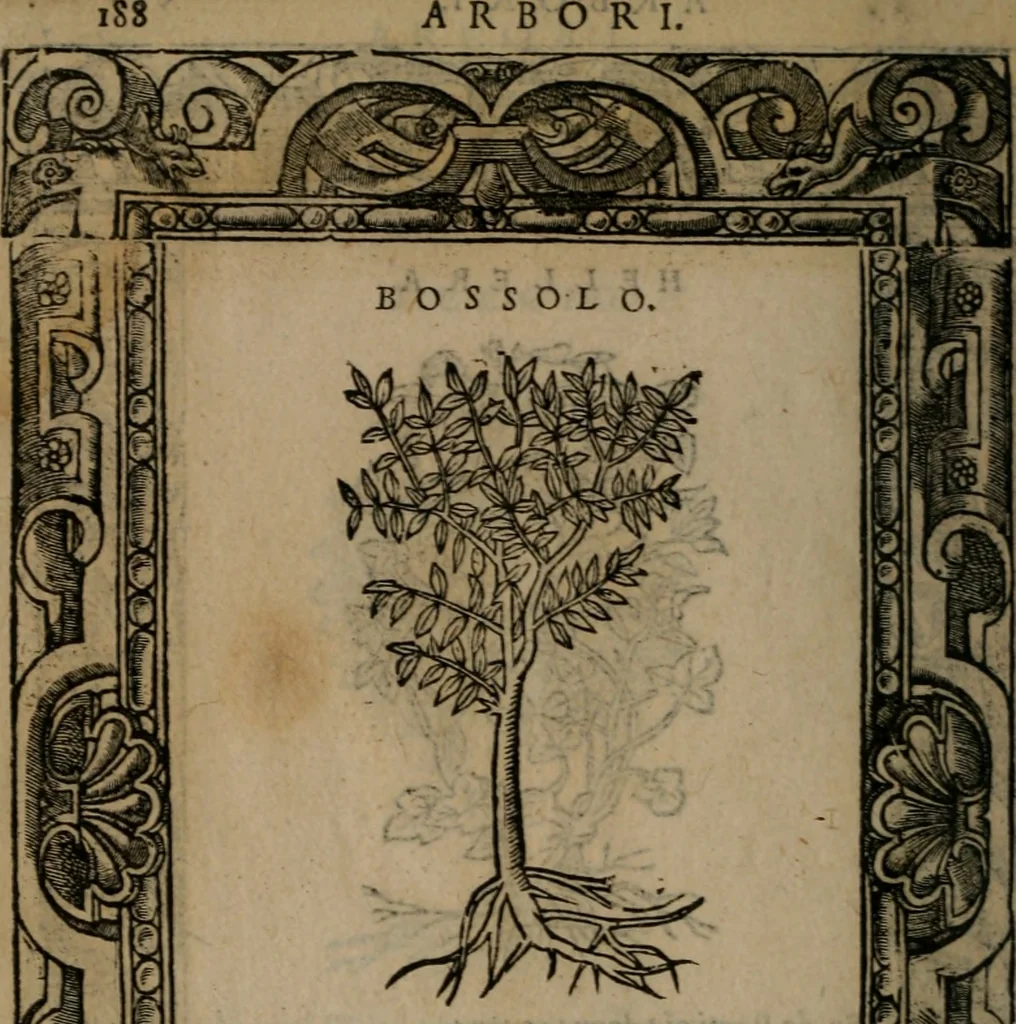 An illustration from Diverse imprese accomodate a diverse moralità, co versi che i loro significati dichiarano insieme con molte altre mella lingua italiana non piu tradotte, 1576, leaf 191