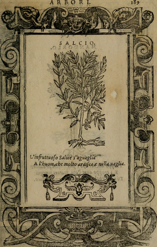 An illustration from Diverse imprese accomodate a diverse moralità, co versi che i loro significati dichiarano insieme con molte altre mella lingua italiana non piu tradotte, 1576, leaf 192