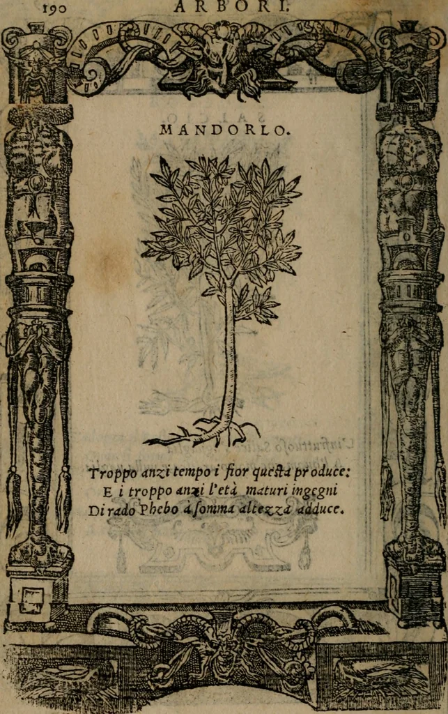 An illustration from Diverse imprese accomodate a diverse moralità, co versi che i loro significati dichiarano insieme con molte altre mella lingua italiana non piu tradotte, 1576, leaf 193
