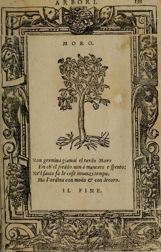 An illustration from Diverse imprese accomodate a diverse moralità, co versi che i loro significati dichiarano insieme con molte altre mella lingua italiana non piu tradotte, 1576, leaf 194