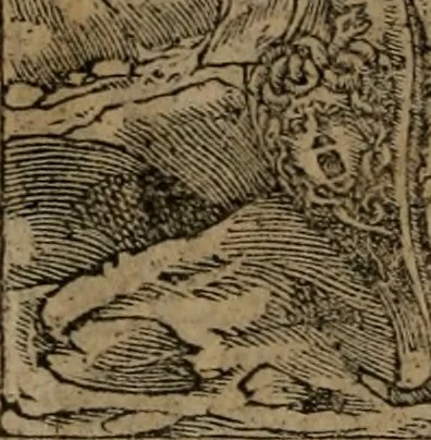 An illustration from Diverse imprese accomodate a diverse moralità, co versi che i loro significati dichiarano insieme con molte altre mella lingua italiana non piu tradotte, 1576, leaf 27