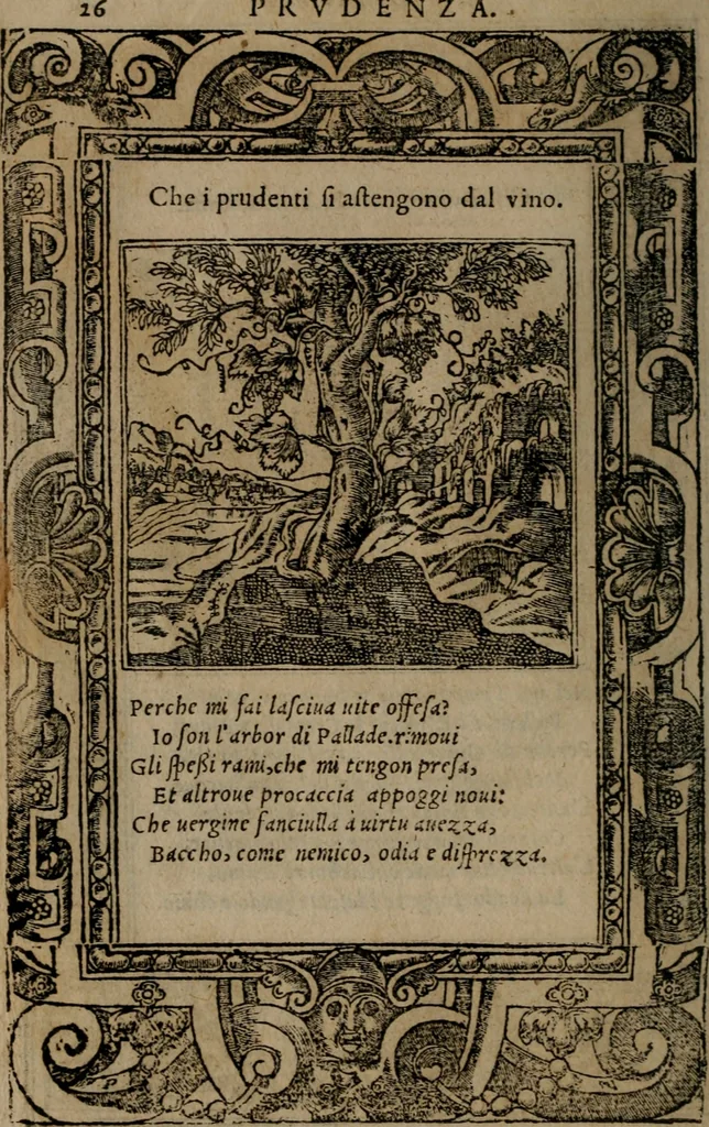 An illustration from Diverse imprese accomodate a diverse moralità, co versi che i loro significati dichiarano insieme con molte altre mella lingua italiana non piu tradotte, 1576, leaf 29