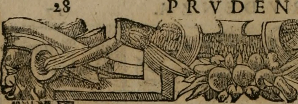 An illustration from Diverse imprese accomodate a diverse moralità, co versi che i loro significati dichiarano insieme con molte altre mella lingua italiana non piu tradotte, 1576, leaf 31
