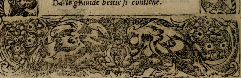 An illustration from Diverse imprese accomodate a diverse moralità, co versi che i loro significati dichiarano insieme con molte altre mella lingua italiana non piu tradotte, 1576, leaf 39
