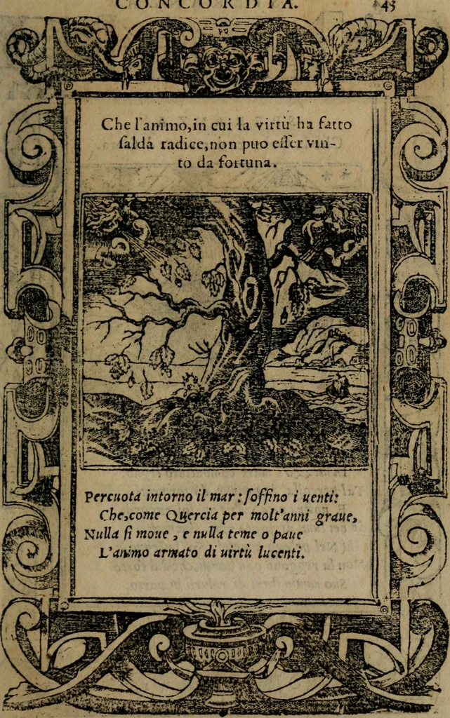 An illustration from Diverse imprese accomodate a diverse moralità, co versi che i loro significati dichiarano insieme con molte altre mella lingua italiana non piu tradotte, 1576, leaf 46