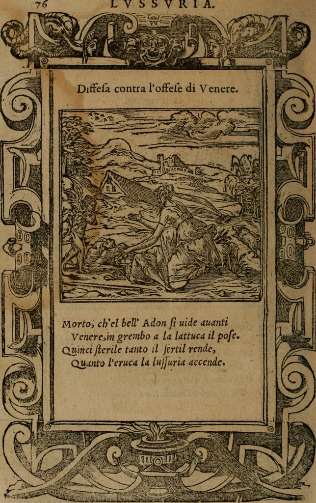 An illustration from Diverse imprese accomodate a diverse moralità, co versi che i loro significati dichiarano insieme con molte altre mella lingua italiana non piu tradotte, 1576, leaf 79