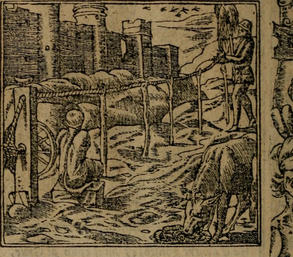 An illustration from Diverse imprese accomodate a diverse moralità, co versi che i loro significati dichiarano insieme con molte altre mella lingua italiana non piu tradotte, 1576, leaf 93