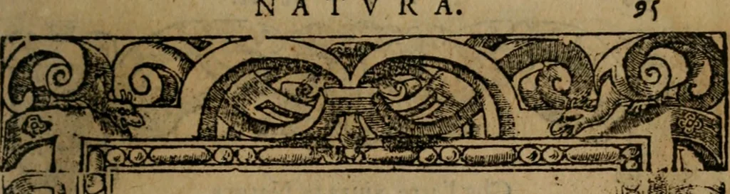 An illustration from Diverse imprese accomodate a diverse moralità, co versi che i loro significati dichiarano insieme con molte altre mella lingua italiana non piu tradotte, 1576, leaf 98