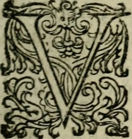 An illustration from Diverses pieces povr la defence de la royne mere dv roy tres-chrestien Lovys XIII, 1643, leaf 256