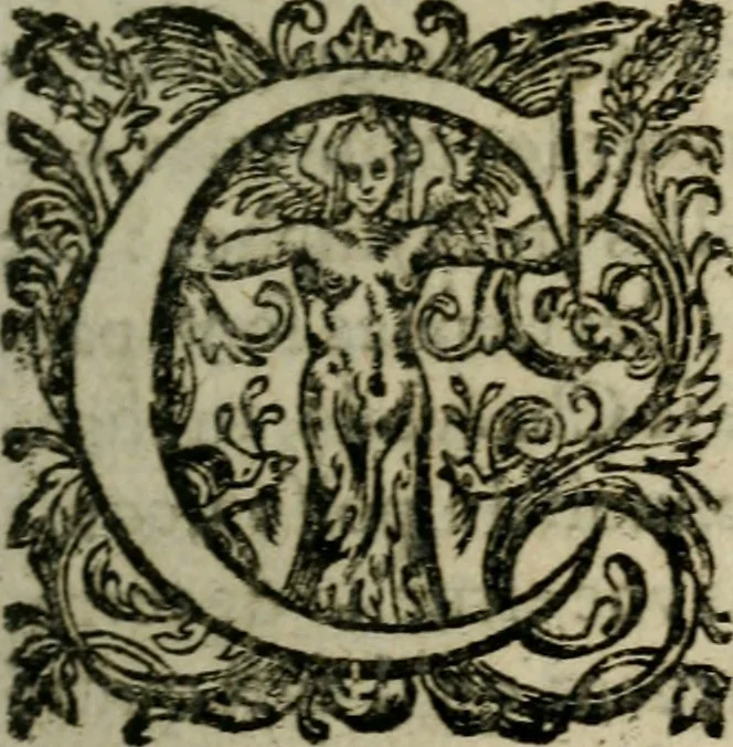 An illustration from Diverses pieces povr la defence de la royne mere dv roy tres-chrestien Lovys XIII, 1643, leaf 392