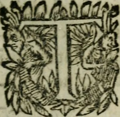 An illustration from Diverses pieces povr la defence de la royne mere dv roy tres-chrestien Lovys XIII, 1643, leaf 608