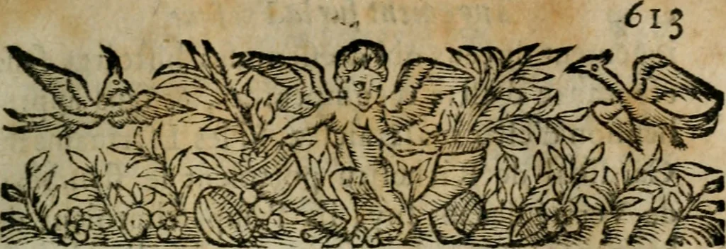 An illustration from Diverses pieces povr la defence de la royne mere dv roy tres-chrestien Lovys XIII, 1643, leaf 642