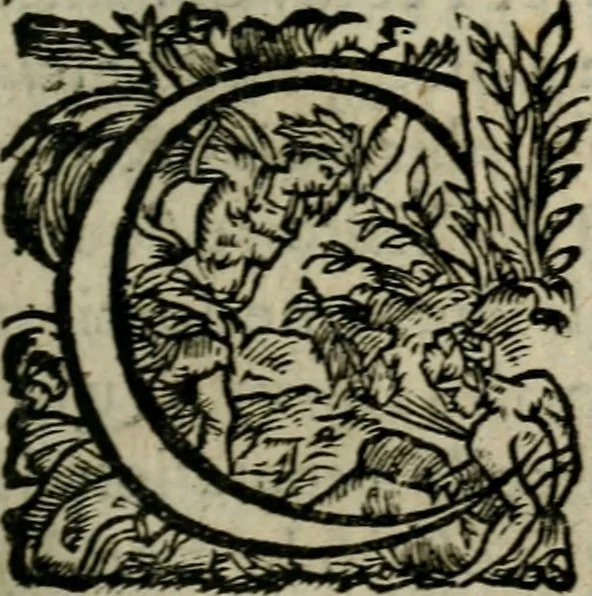 An illustration from Diverses pieces povr la defence de la royne mere dv roy tres-chrestien Lovys XIII, 1643, leaf 778