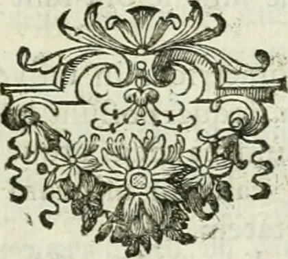 An illustration from Divers ouvrages, 1693, leaf 138