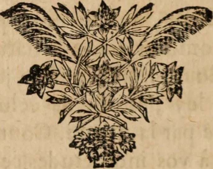 An illustration from Divers plaidoyez tovchant la cavse dv gvevx de Vernon : avec le plaidoyé de monsieur Bignon, advocat general : Et quelques autres plaidoyez, & errests sur differentes matières, 1665, leaf 215